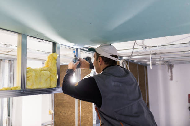 Professional Insulation Contractor in Galesburg, IL